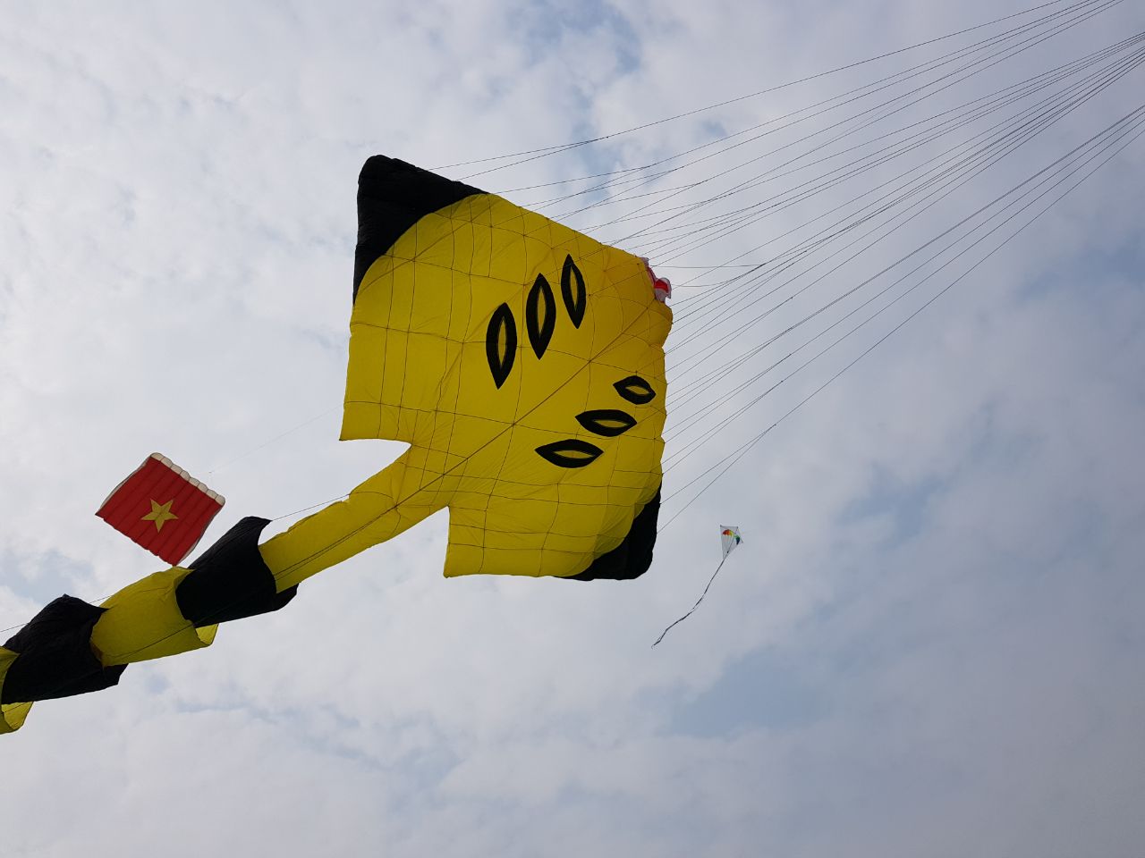International Kite festival starts in Vadodara