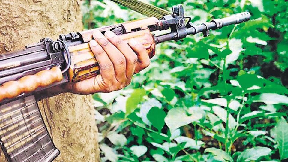 14 Maoists killed in Maharashtra
