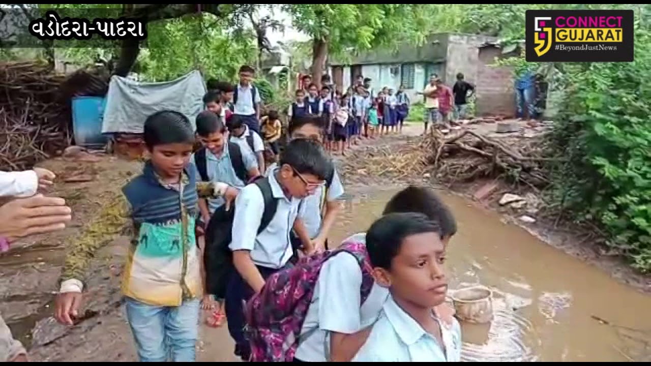 School students of Kalyankui in Padra risked their lives to reach school