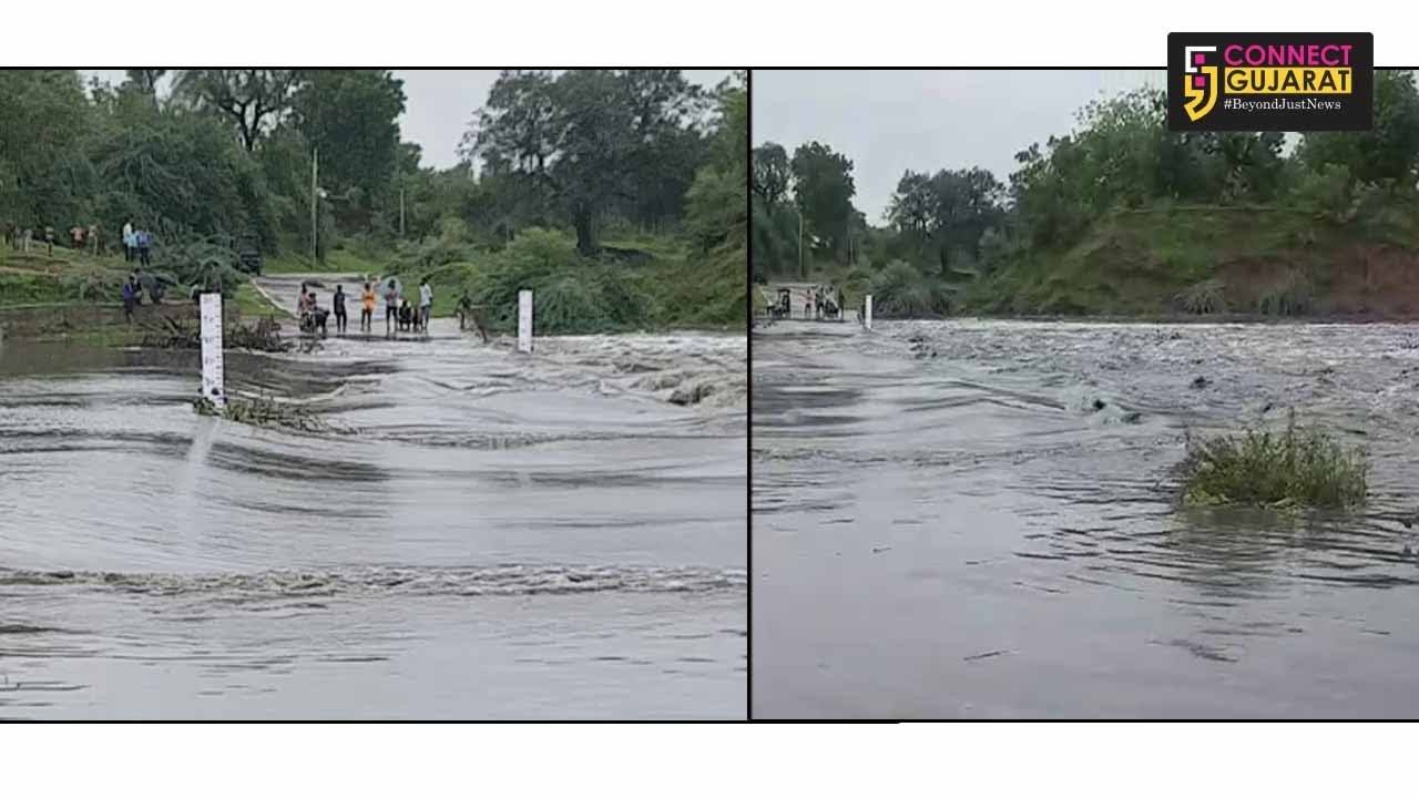 Dhadhar river near Padra flowing dangerously