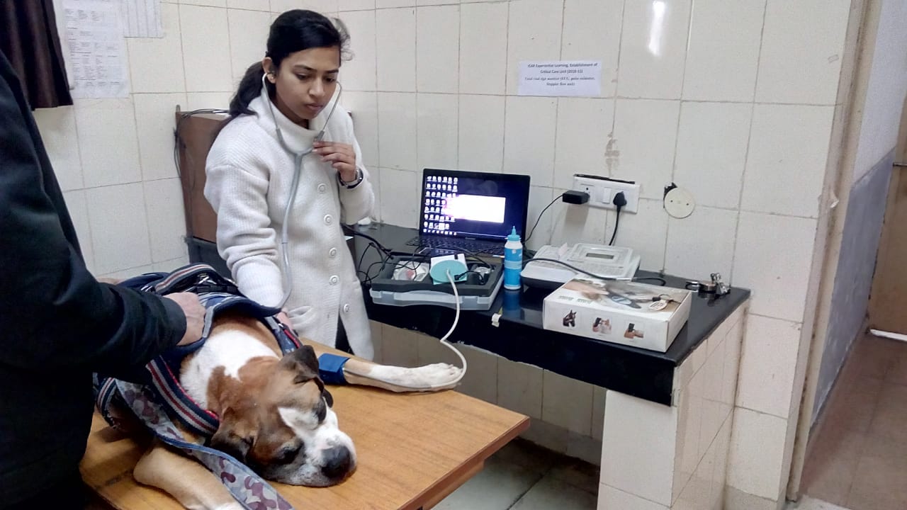 Nehal Rathwa became first female veterinary doctor from the community