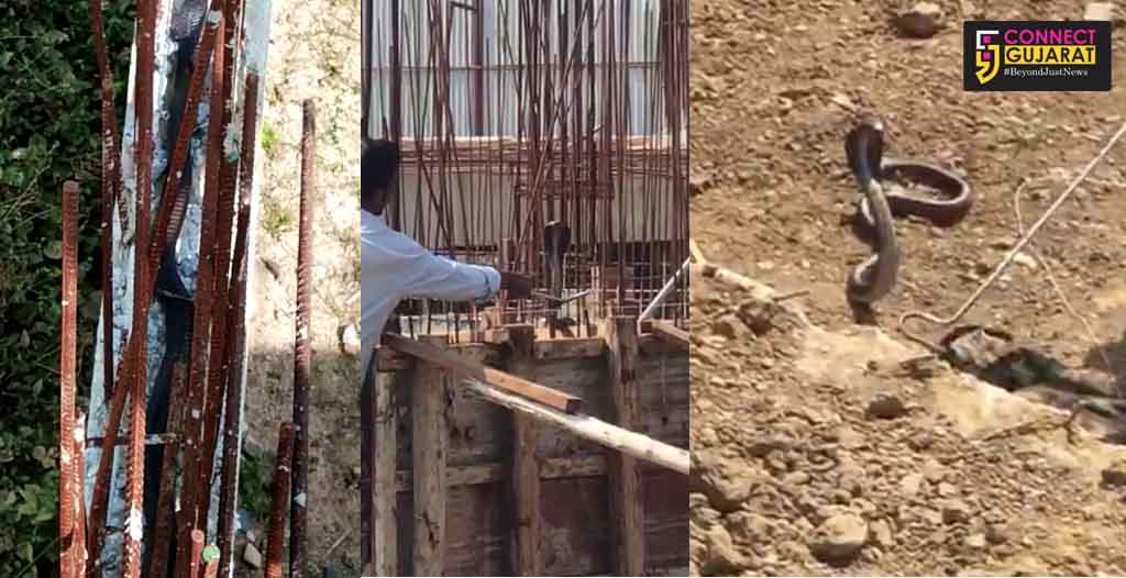 Labourers frightened after saw a cobra inside under construction site in Vadodara