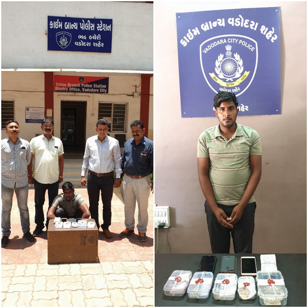 Vadodara crime branch arrested one for lifting purse of passengers travelling inside the train