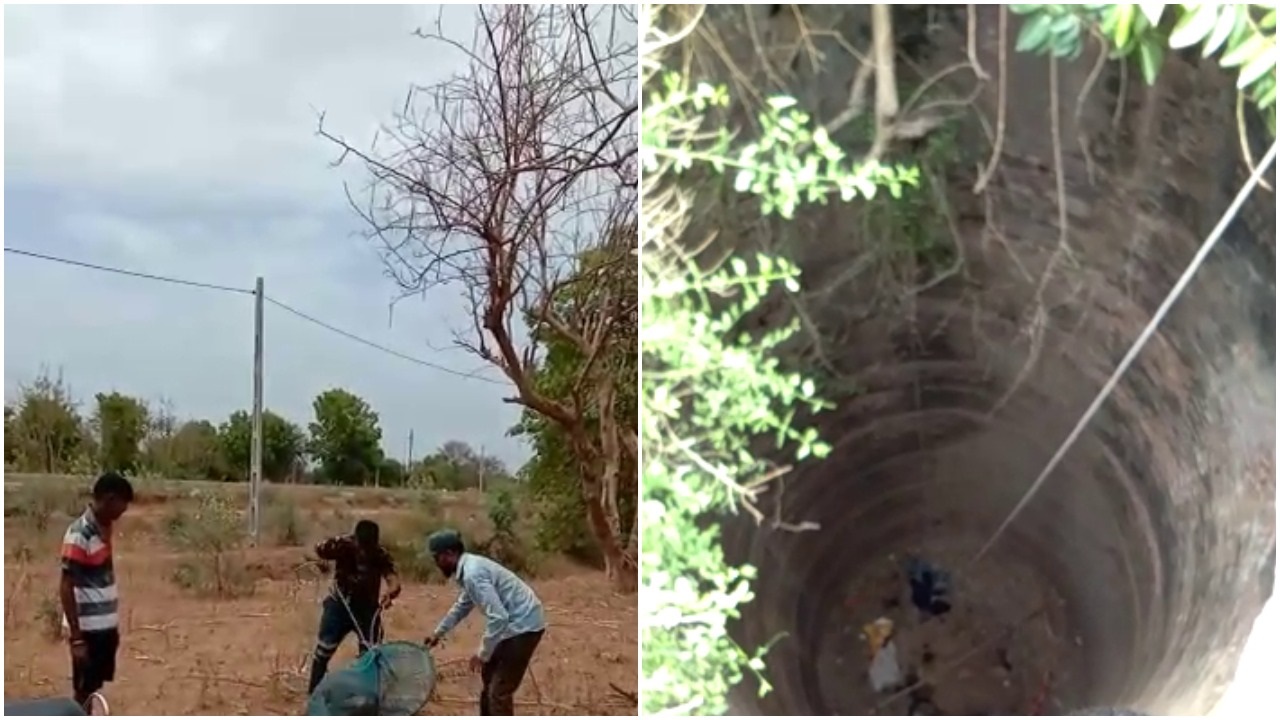 Wildlife Rescue Trust volunteers rescued a monkey from a dry well at Sokhda village