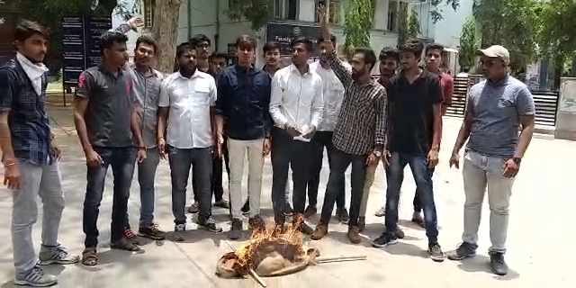 NSUI Vadodara members burn effigy of authorities in fees increase matter
