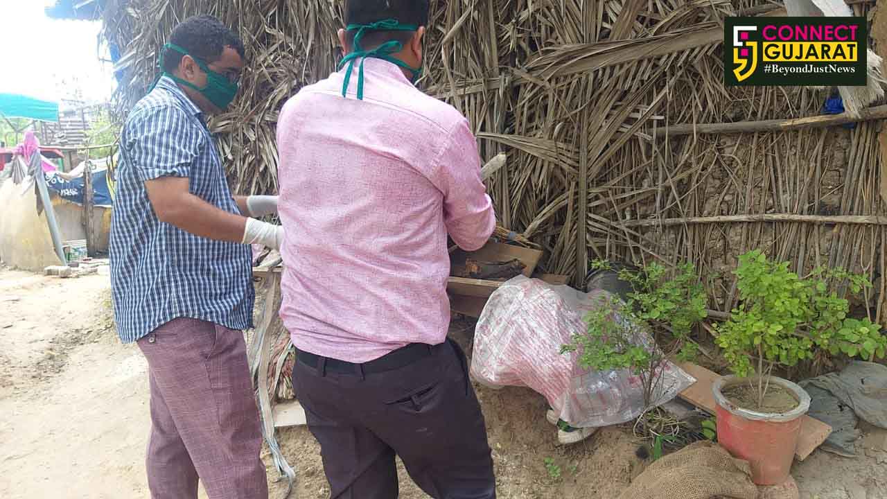 Girl died of Chandipura virus in Vadodara
