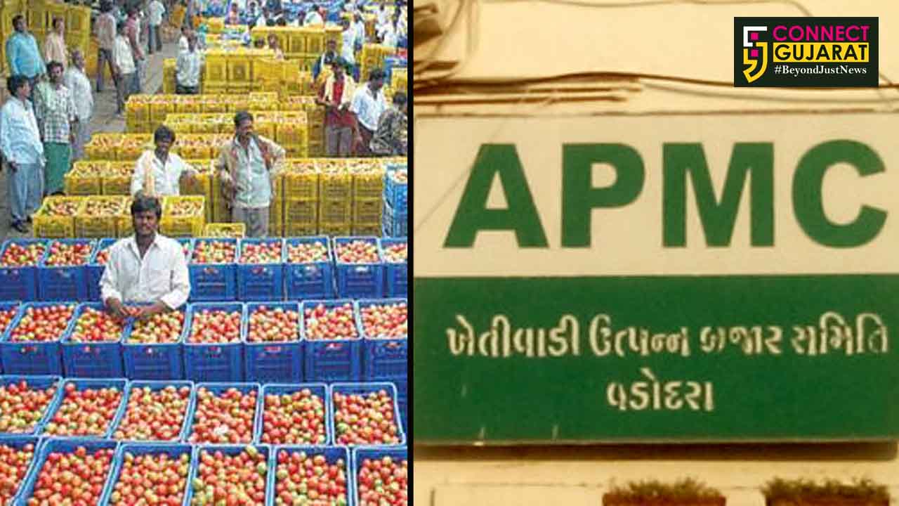 Vadodara APMC opens two centres to sell vegetables on discounted rates