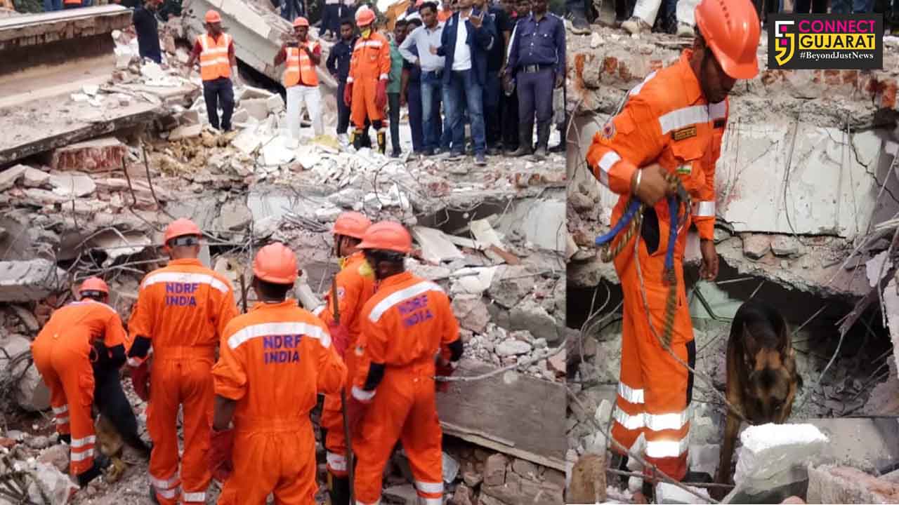 Vadodara NDRF used newly trained German Shepherd at L&T building collapse site