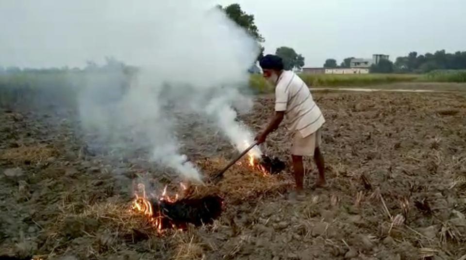 Crop residues burning up by 5% in Punjab and Haryana, but so is harvesting