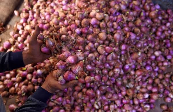 21 tonnes of onions were seized by Election Flying Squad in Tamil Nadu