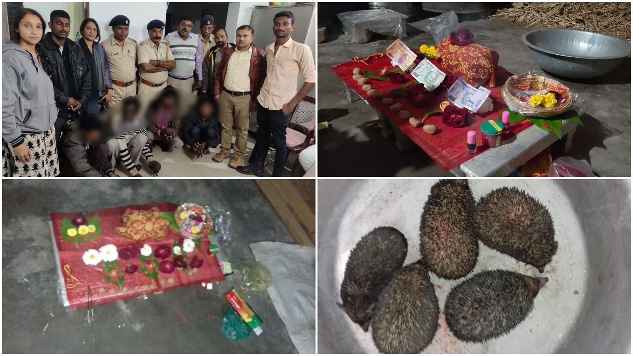 GSPCA and forest department arrested four persons for selling Hedgehog