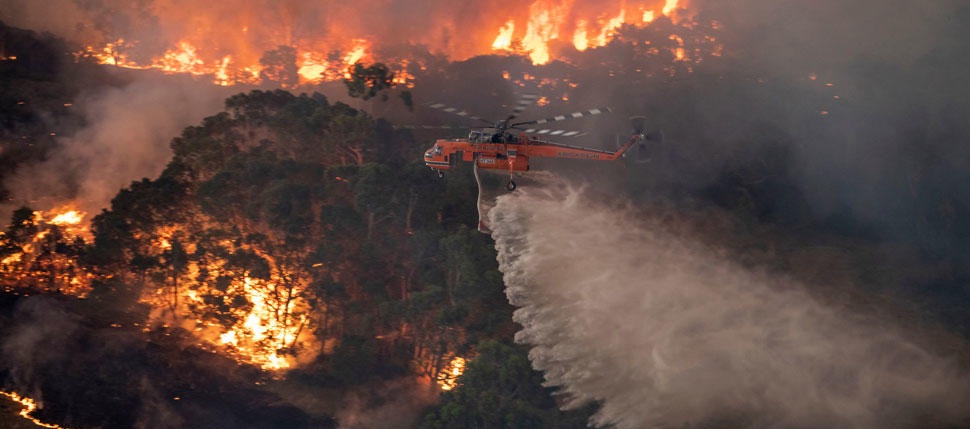 Celebrities donate, call for support amid Australian bushfires