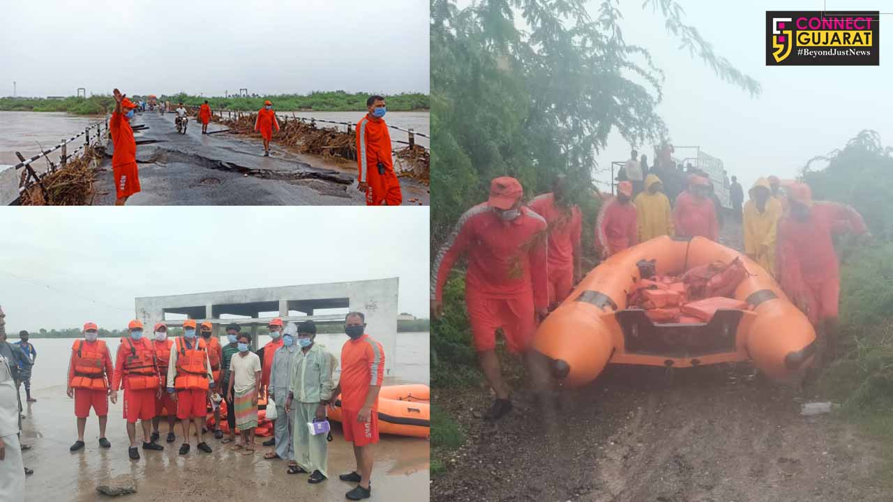 NDRF teams engage in flood relief work in costal areas of Gujarat