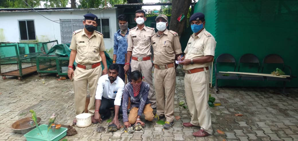 GSPCA and forest department reached wild animals from captivity