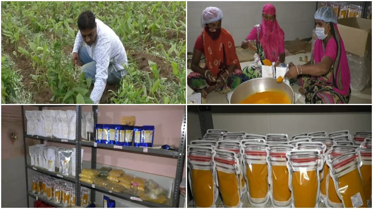 Young farmer from Boriyavi obtained patent for his turmeric production