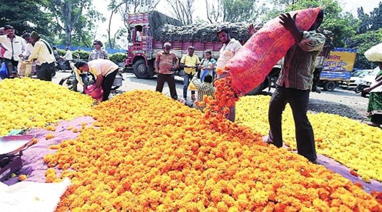 Flower business hit hard in Vadodara due to Corona pandemic