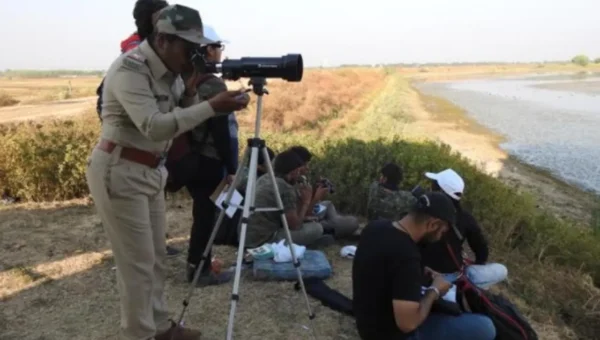 Admission restricted as birds counting at Vadhavana lake starts on Friday