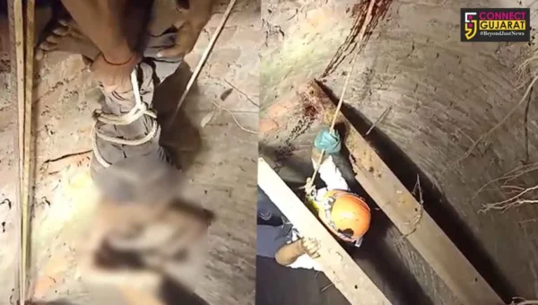 Vadodara fire brigade team rescued a person fell inside a deep well near Karjan
