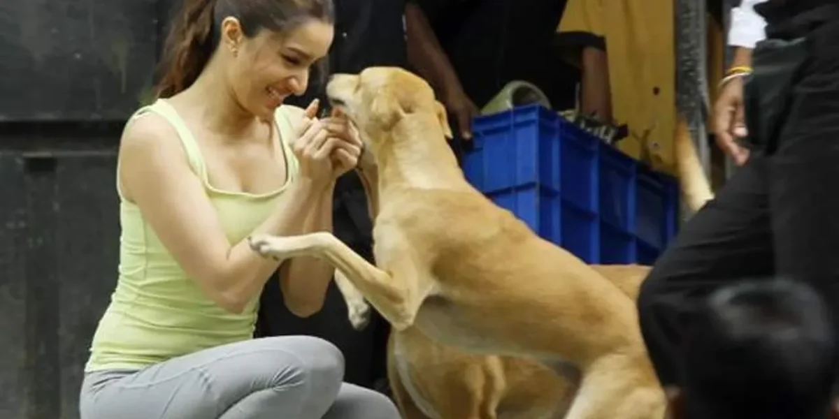 Shraddha Kapoor becomes voice of the voiceless yet again, appeals to punish people severely for mistreating animals