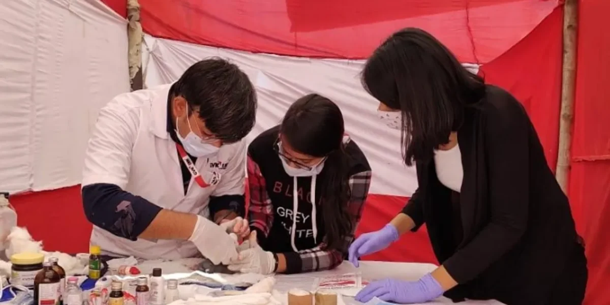 Rescue trusts help injured birds back to normal during Uttarayan in Vadodara