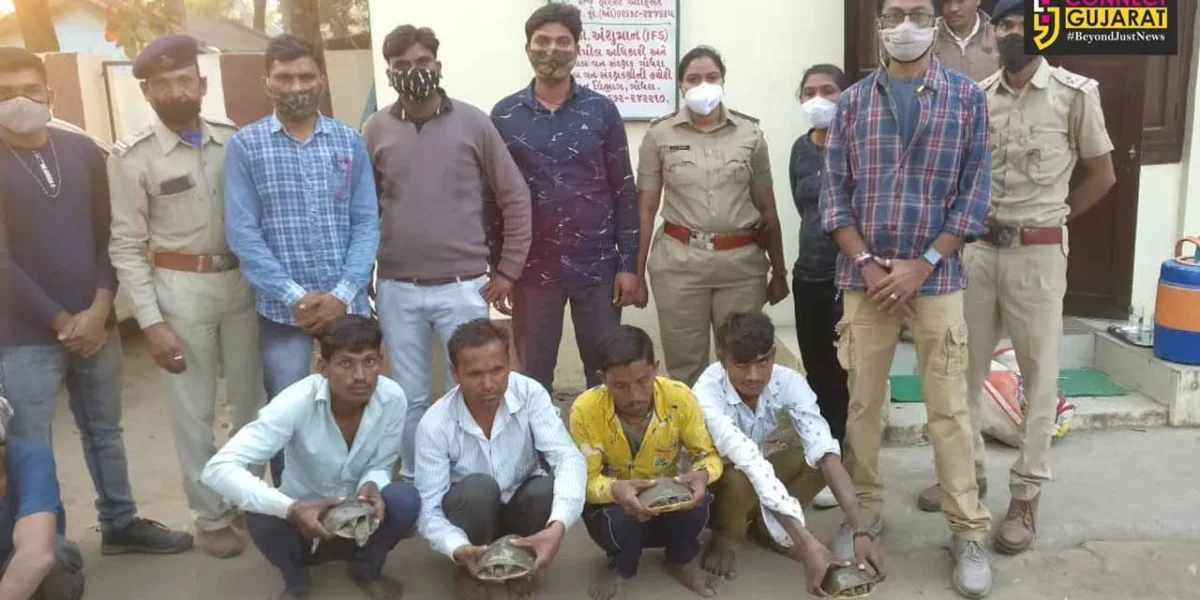 Five persons caught performing tantric rituals on wildlife turtles