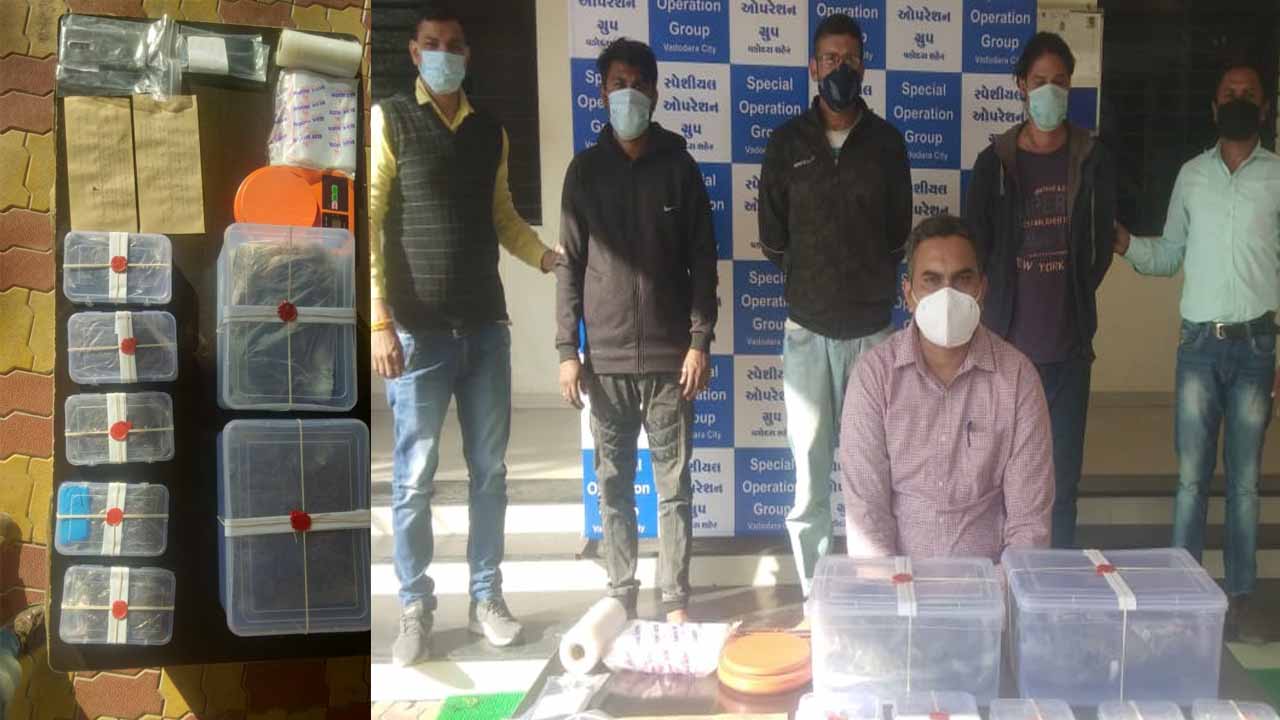 Vadodara SOG busted a ganja business running by educated trio