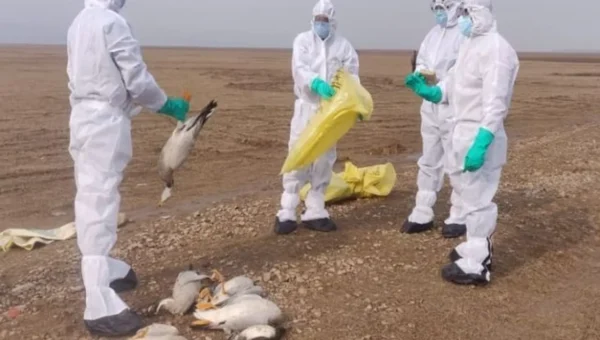 Bird flu outbreak: from Kerala to Rajasthan