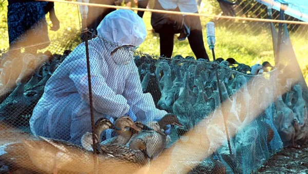 Centre sets up Control Room in New Delhi to control outbreak of bird flu