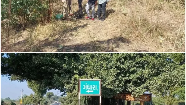 Body of youth found found near Gandhara village in Karjan