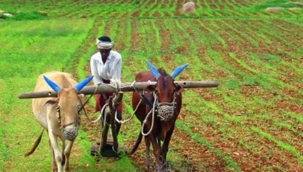 Pradhan Mantri Fasal Bima Yojana completes 5 years