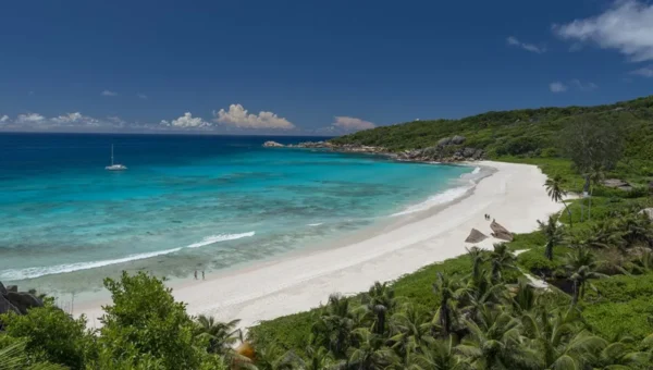 Seychelles Tourism Board appoints BRANDit as India Representative