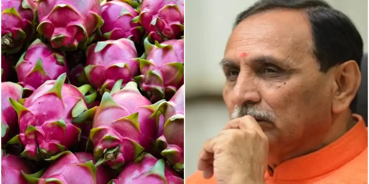 Gujarat CM renames dragon fruit as Kamalam