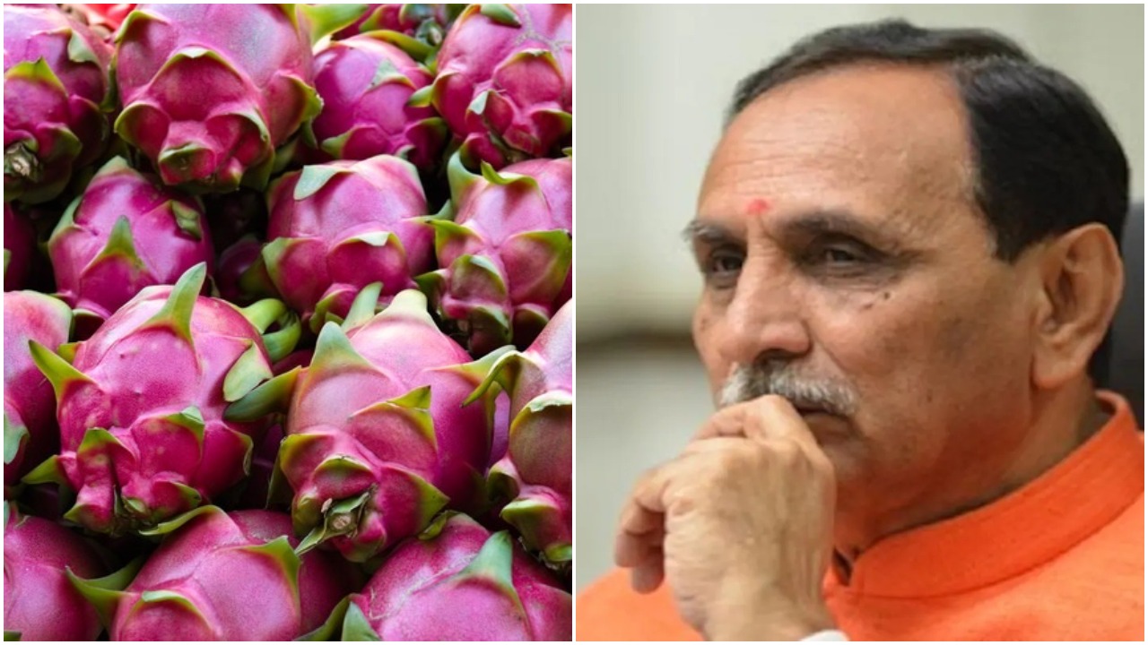 Gujarat CM renames dragon fruit as Kamalam