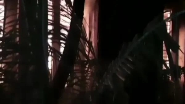 Fire breaks out at Thane MSED office, no casualty reported