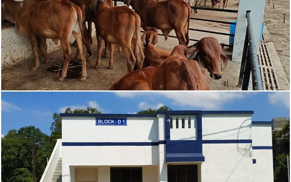 Open Jail and Gaushala Facility at Danteshwar a part of Vadodara Central Jail