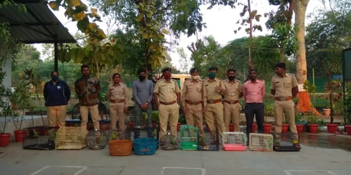 GSPCA and forest department free wildlife animals during raids in different parts of Vadodara city
