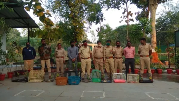 GSPCA and forest department free wildlife animals during raids in different parts of Vadodara city