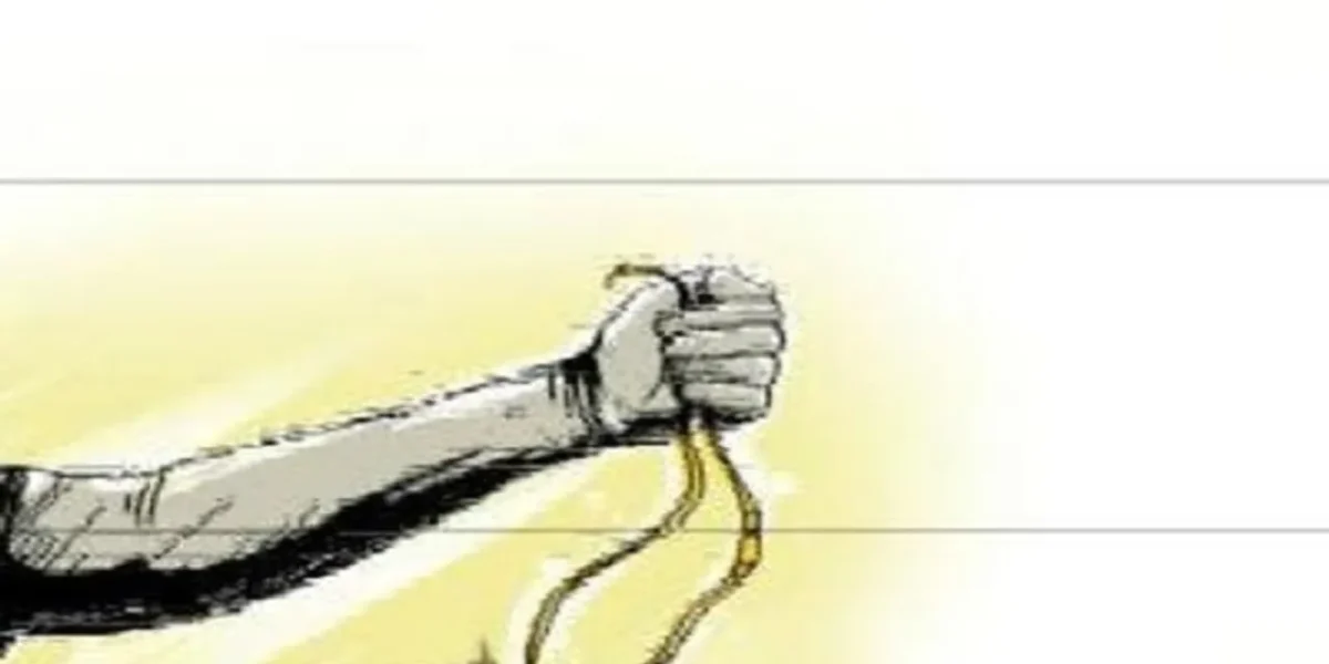 Two unknown youths snatched gold chain from a lady on Harni road in Vadodara
