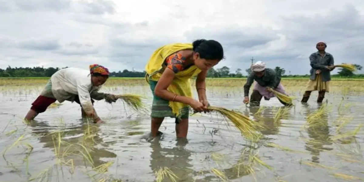 2.5 million UP farmers to be linked to Kisan Credit Card