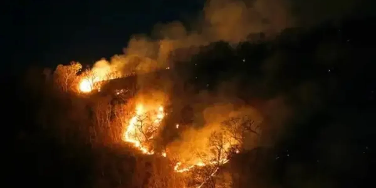 Odisha: Simlipal forest fire raging for 10 days