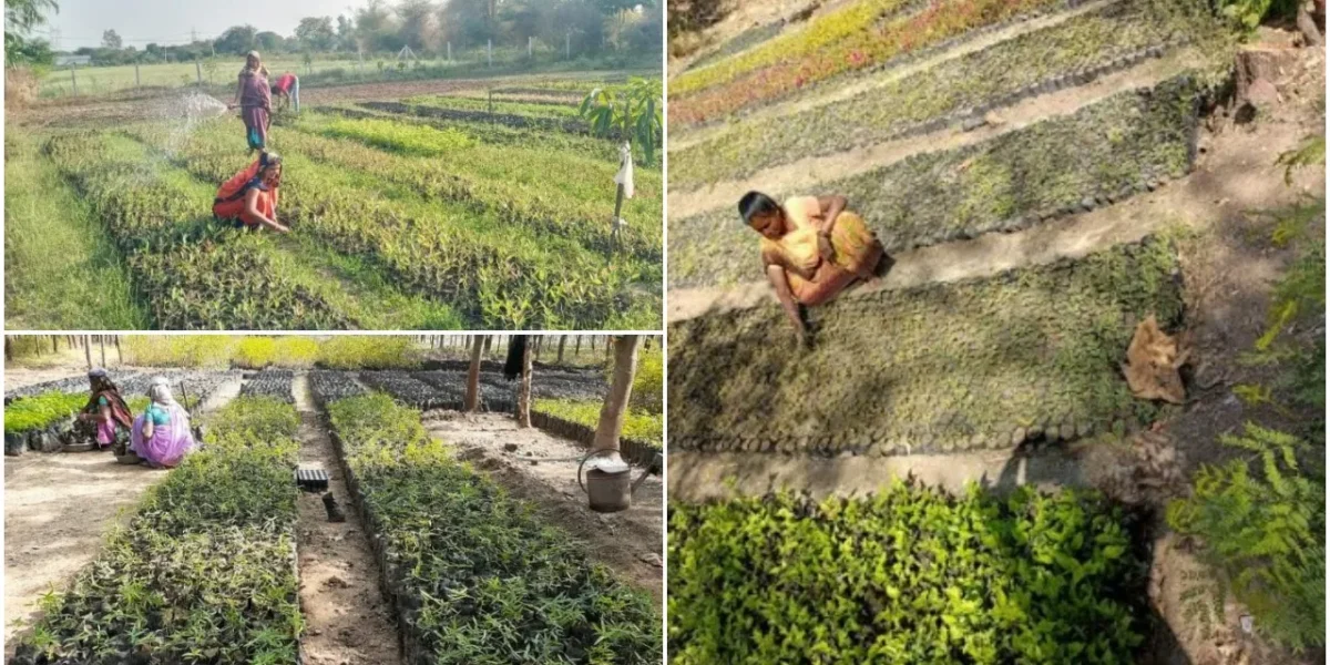 Contribution of Social Forestry Department Vadodara in women empowerment
