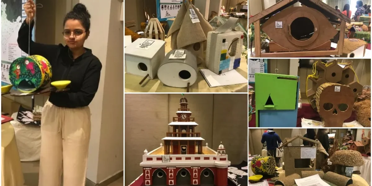 Competition to create best house for the little sparrow in Vadodara