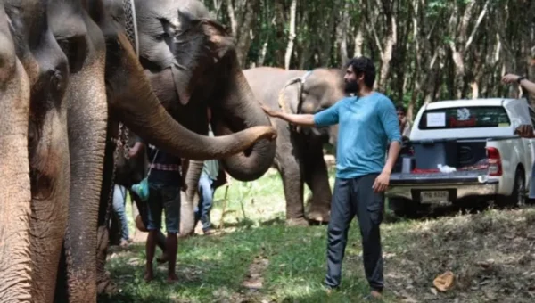 BTS video of Rana Daggubati and the elephants from Haathi Mere Saathi will make your day