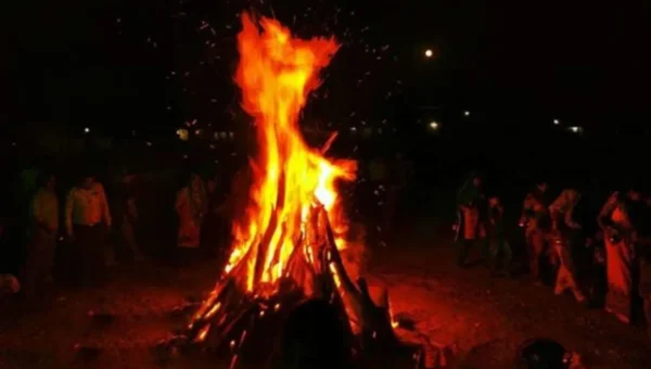 Use Gau Cast logs in Holika Dahan to purify atmosphere in Corona scare