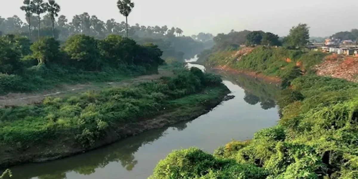 Youth jumped inside Vishwamitri river bridge passing near Kalaghoda in Vadodara