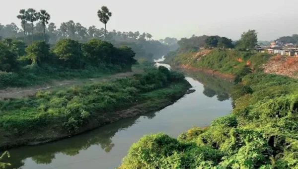 Youth jumped inside Vishwamitri river bridge passing near Kalaghoda in Vadodara