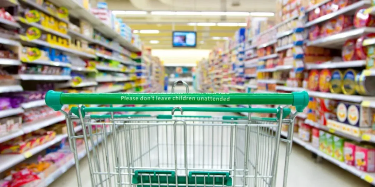 Living Alone? Here Are Some Quick Grocery Hacks To Help You Stay In Budget