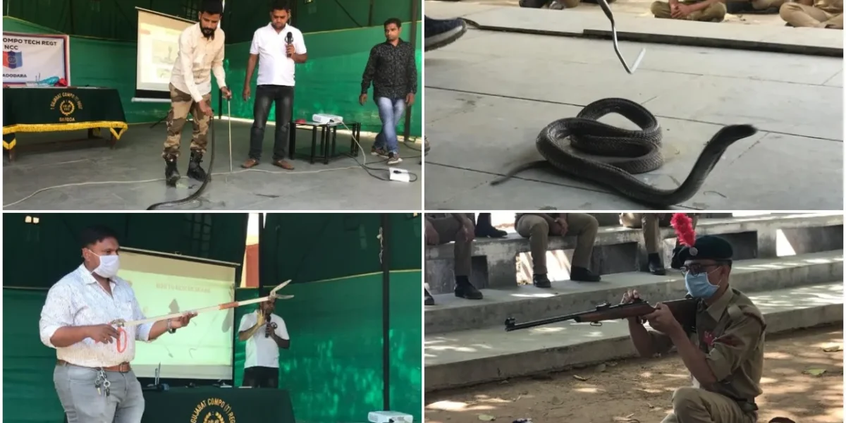 NCC cadets learned the basic skills to identify and rescue snakes