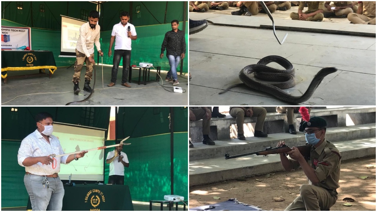 NCC cadets learned the basic skills to identify and rescue snakes