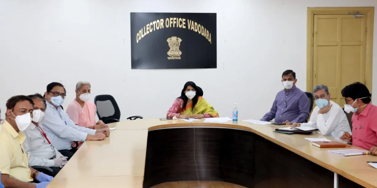 District Collector and IMA Vadodara office bearers interact with CM through video conference